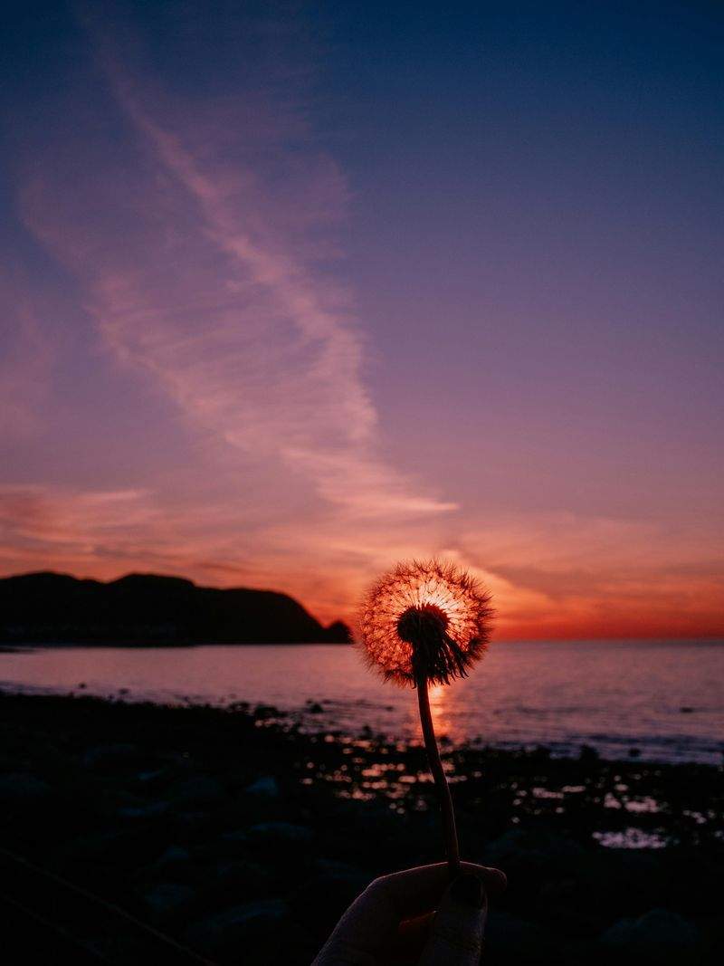 株式会社スピードソリューション - Image 10