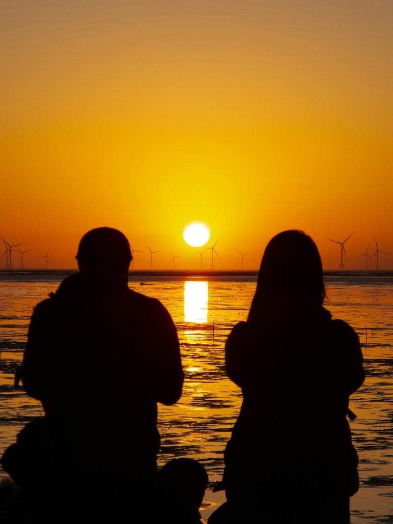 株式会社スピードソリューション - Image 8